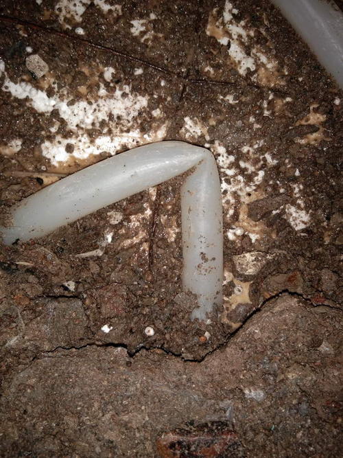 郸城堵点精准查找